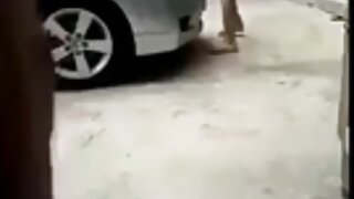 ვნებათაღელვა ელისონ  ...