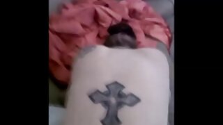 კოლუმბიელი მამალს უბ ...